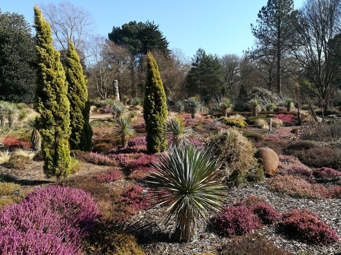 Visite du jardin botanique de Wisley, Angleterre