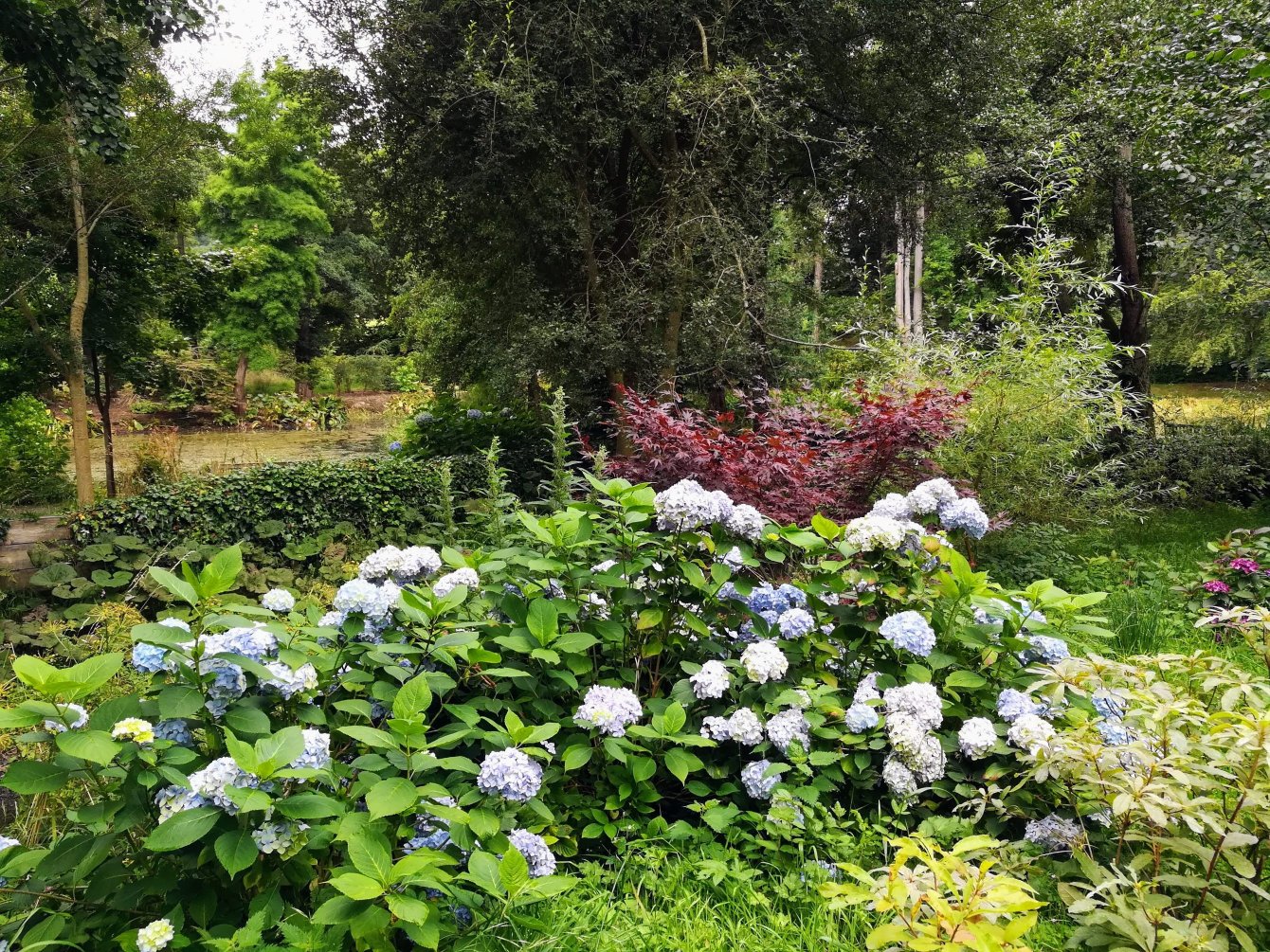 Visite du jardin de Bodnant, nord du Pays de Galles