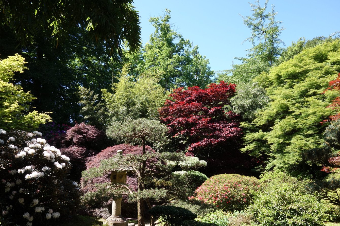 Visite au printemps du Jardin Botanique de Haute Bretagne, France