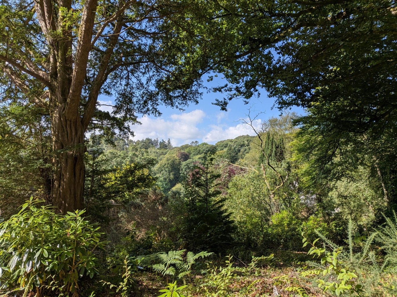 Visite en été du Colby Woodland Garden, Pays de Galles