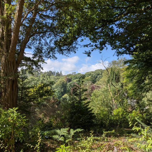 Visite du Colby Woodland Garden, Pays de Galles