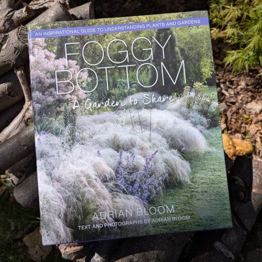 Foggy Bottom, A garden to share