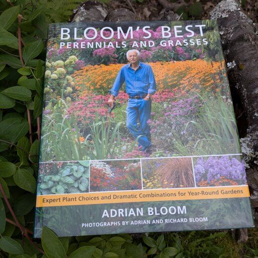 Bloom&rsquo;s Best Perennials and Grasses