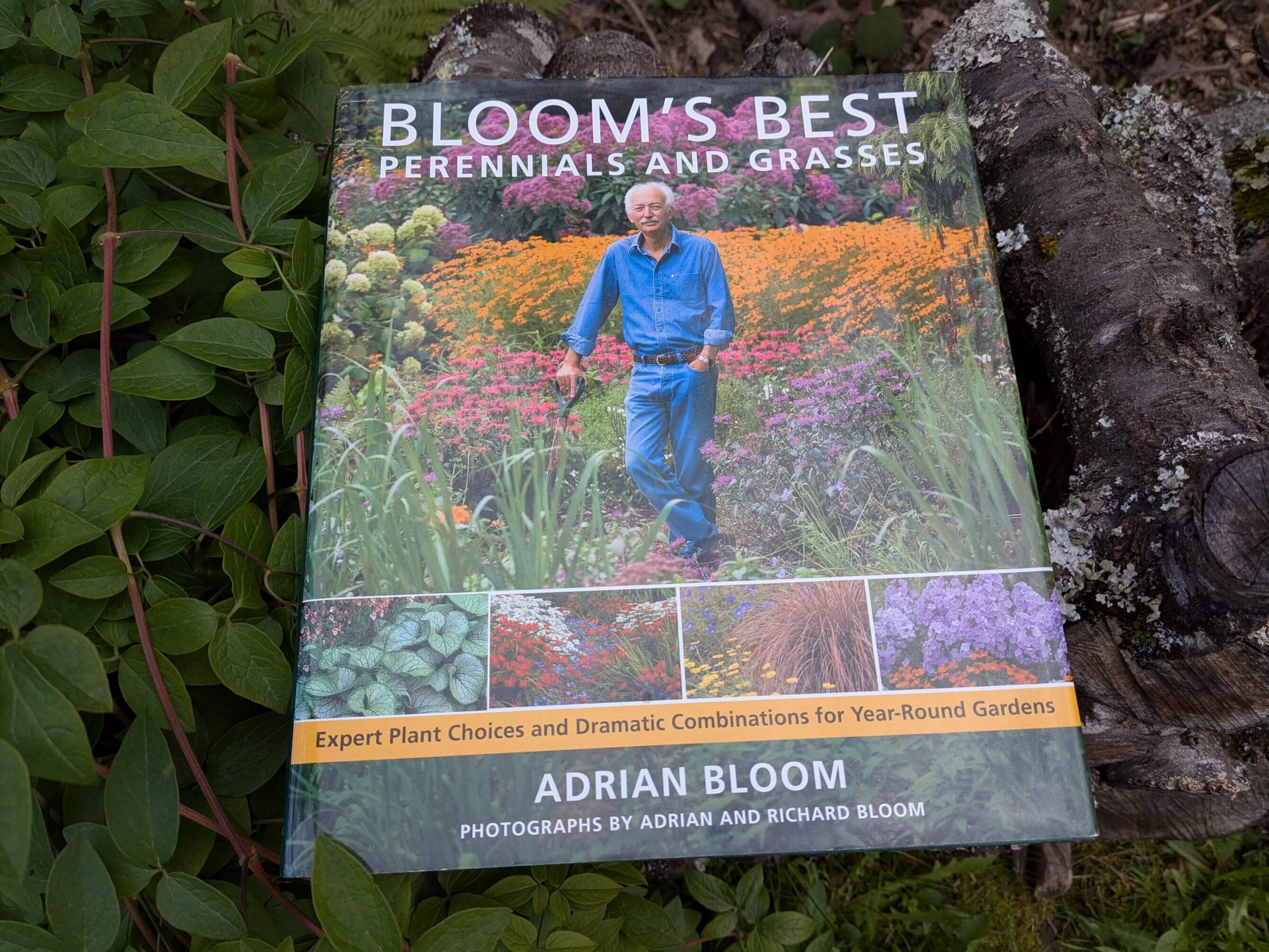 Bloom&rsquo;s Best Perennials and Grasses