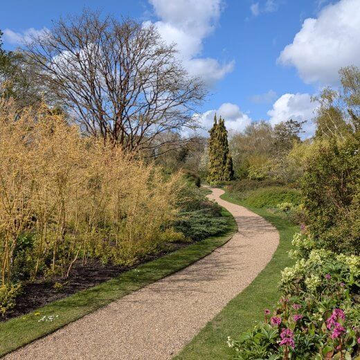 Visite au printemps du jardin botanique de l&rsquo;université de Cambridge, Angleterre