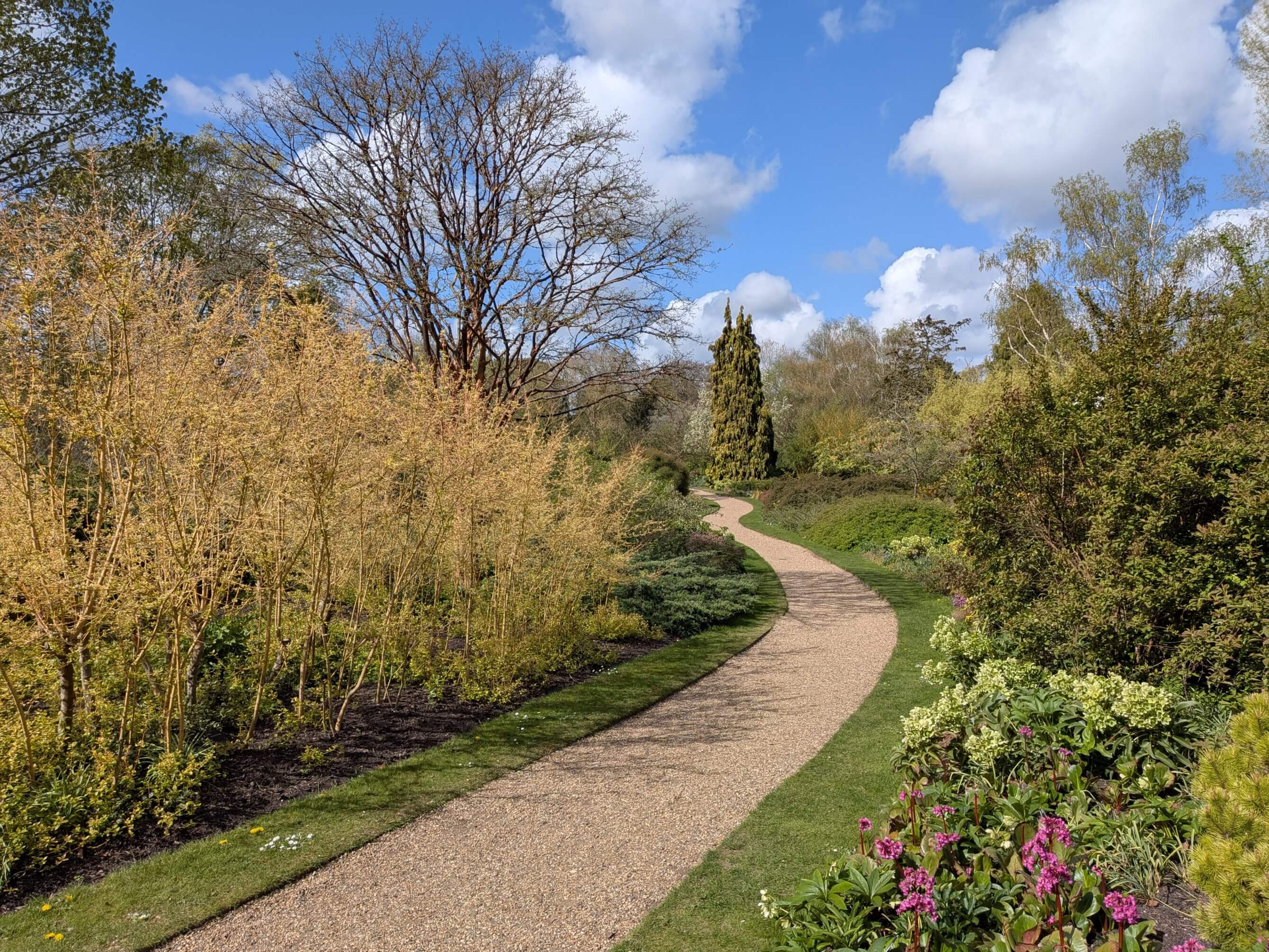 Visite au printemps du jardin botanique de l&rsquo;université de Cambridge, Angleterre