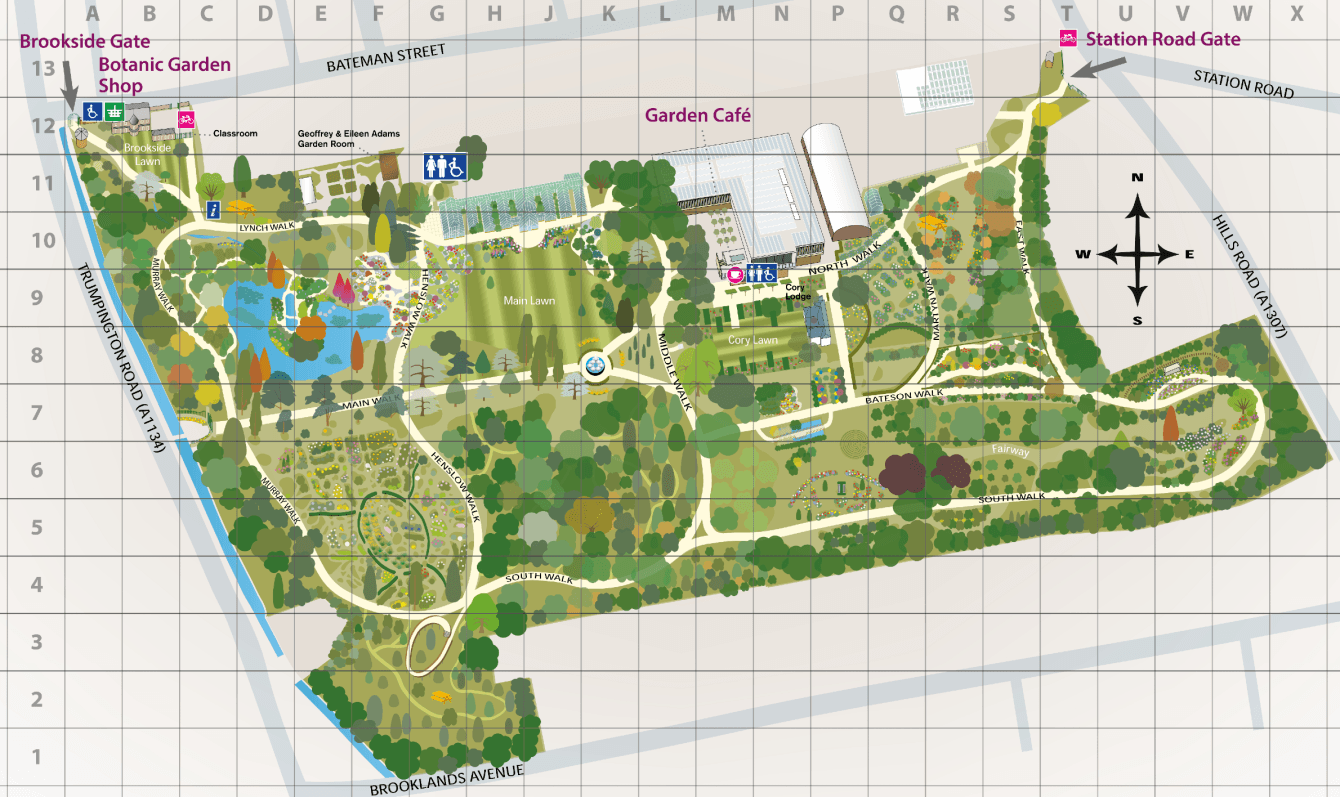 Plan du jardin botanique de l'université de Cambridge