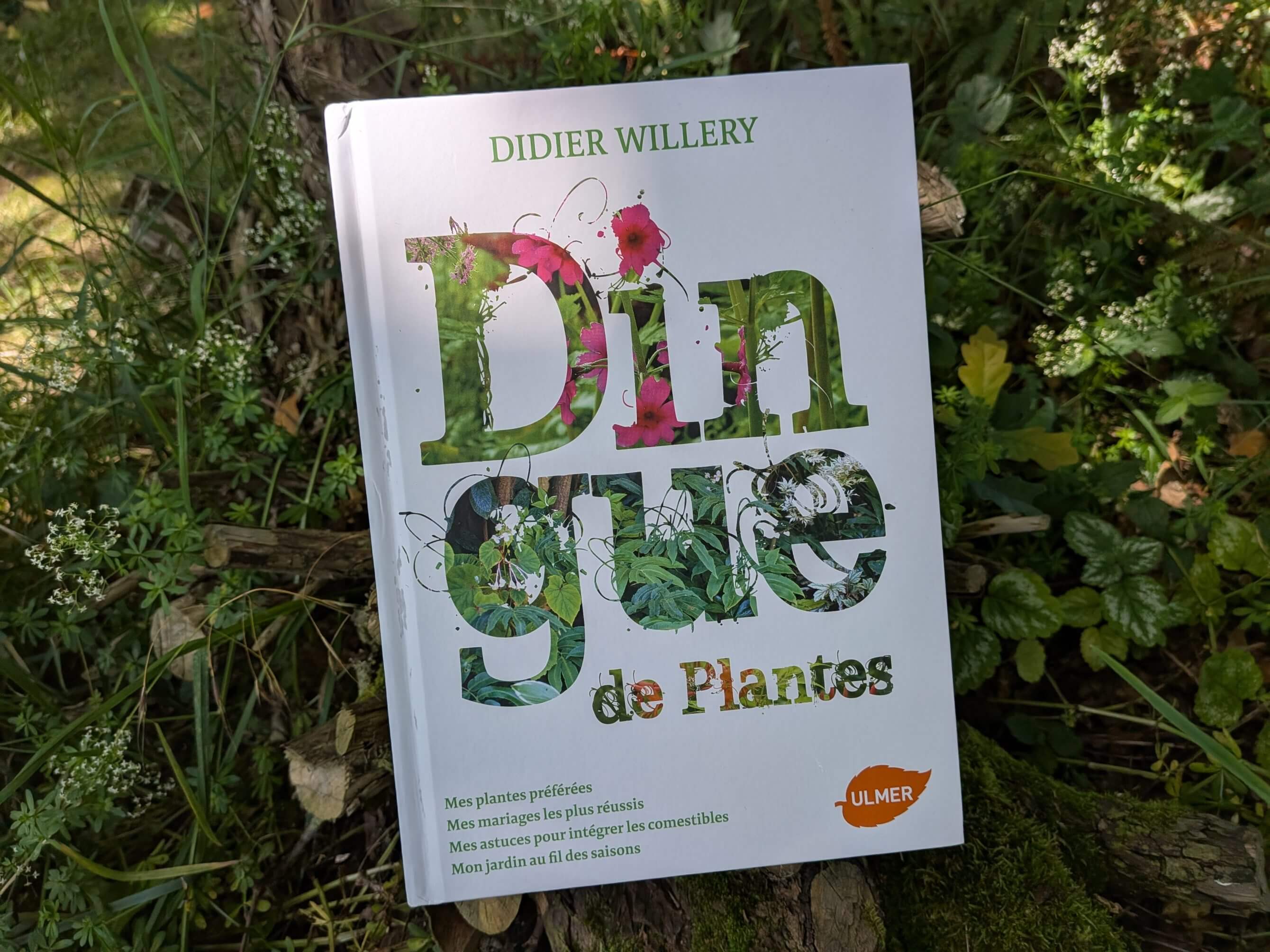 Dingue de Plantes de Didier Willery