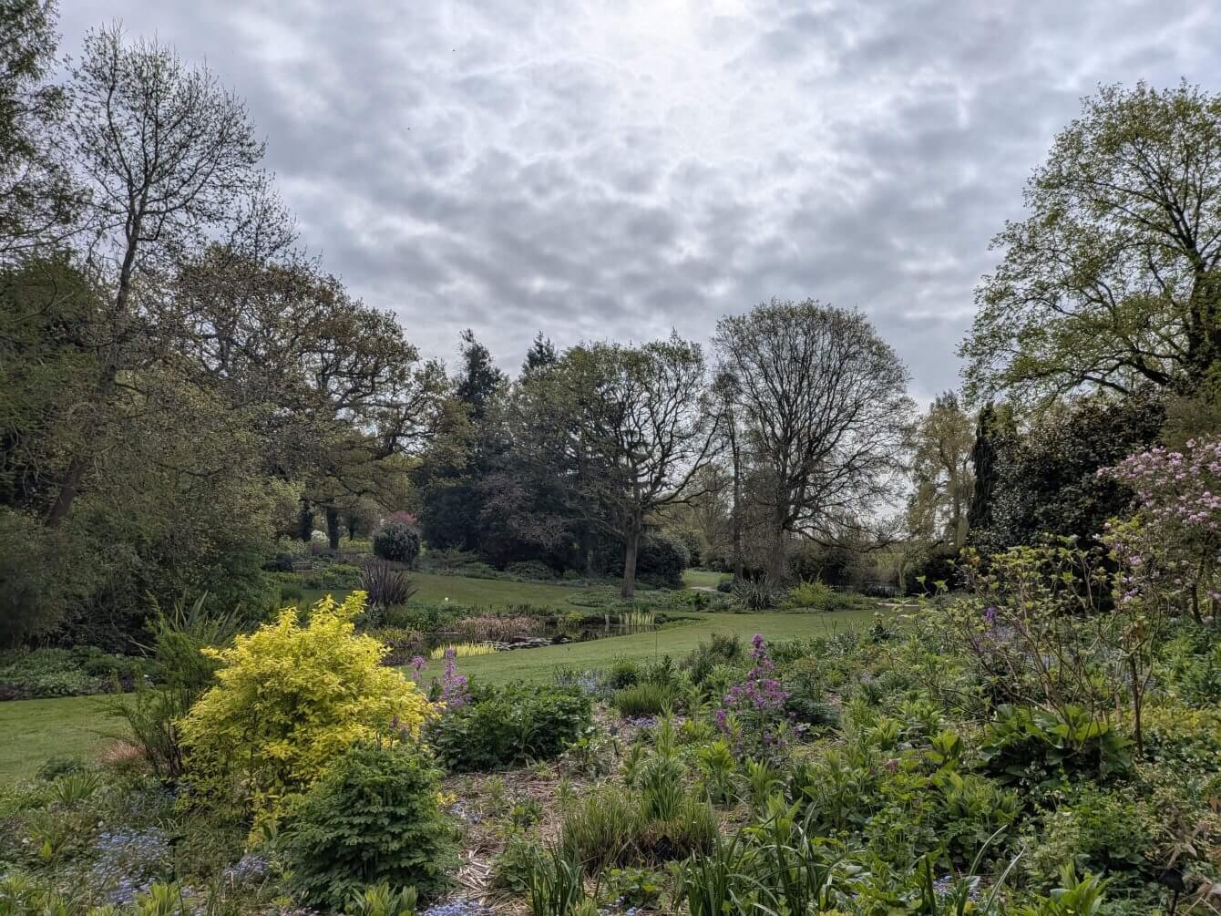 Jardin de Beth Chatto, Angleterre