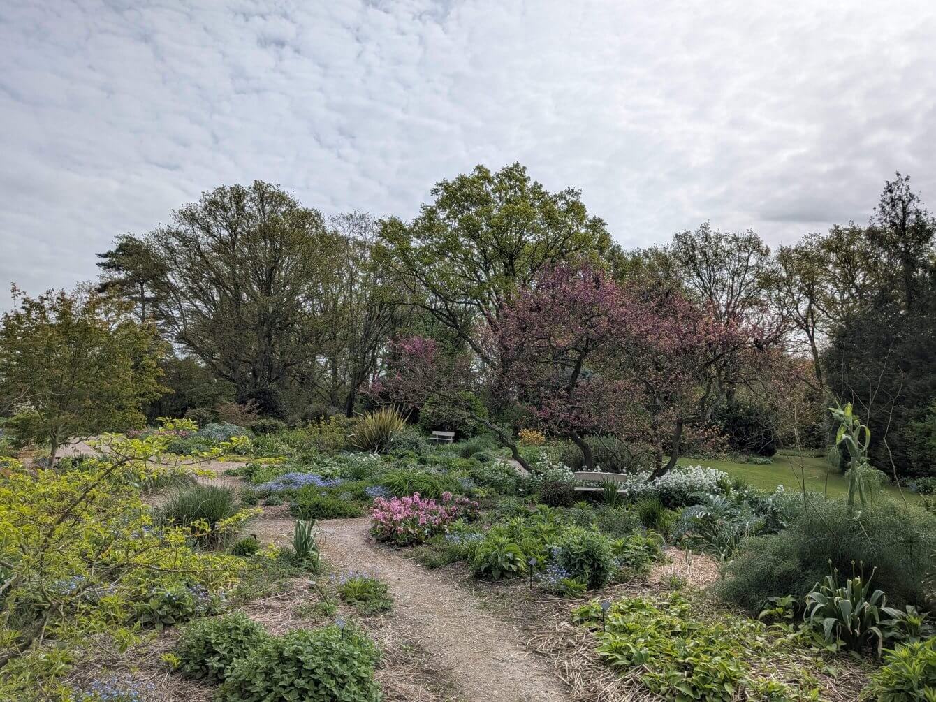 Jardin de Beth Chatto, Angleterre