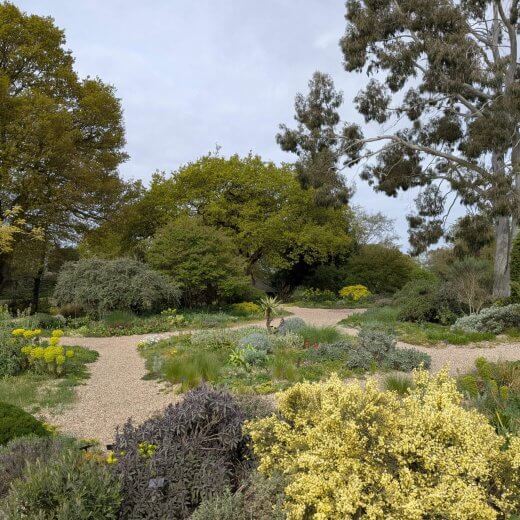 Visite au printemps du jardin de Beth Chatto, Angleterre