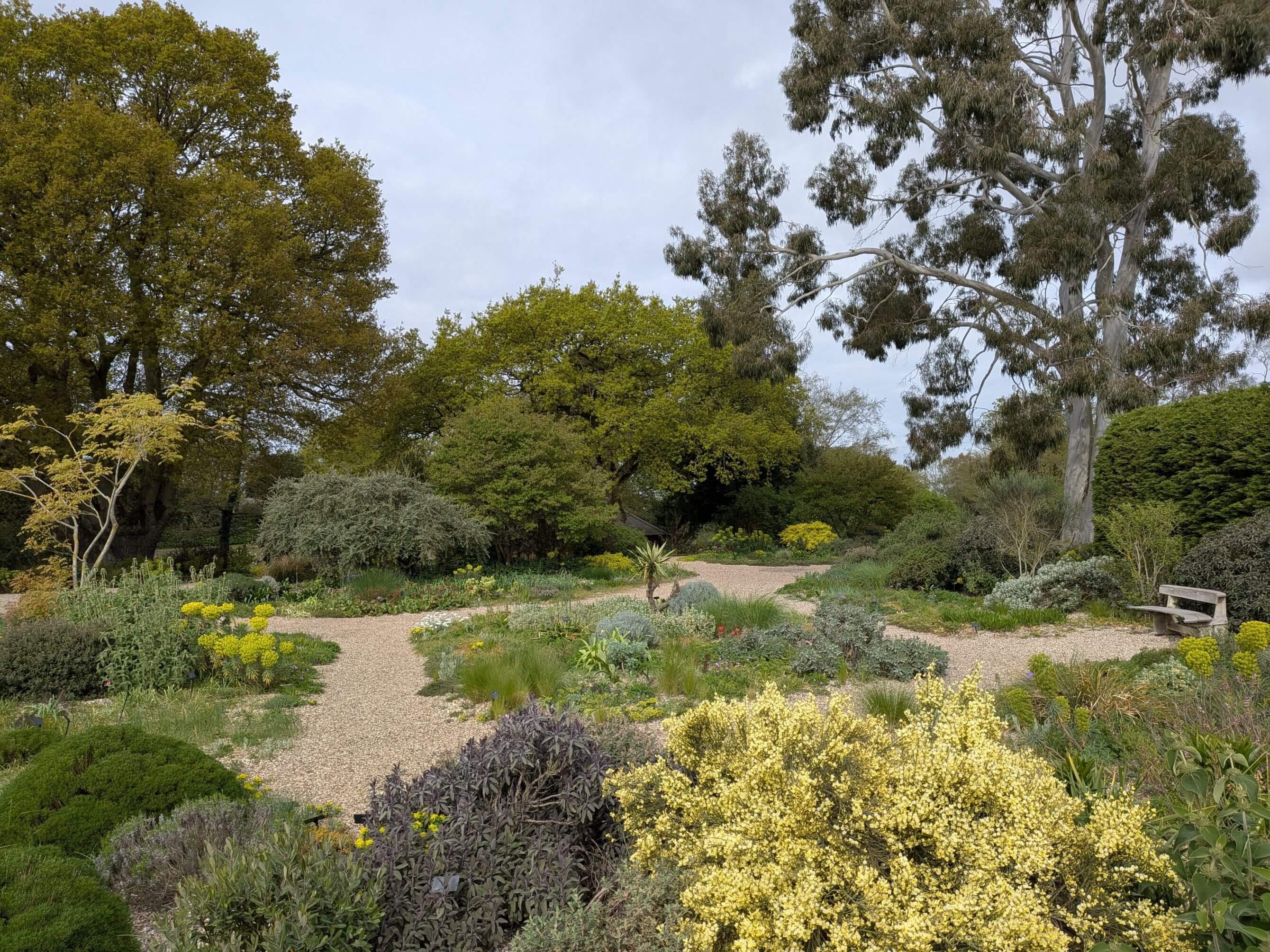 Visite au printemps du jardin de Beth Chatto, Angleterre