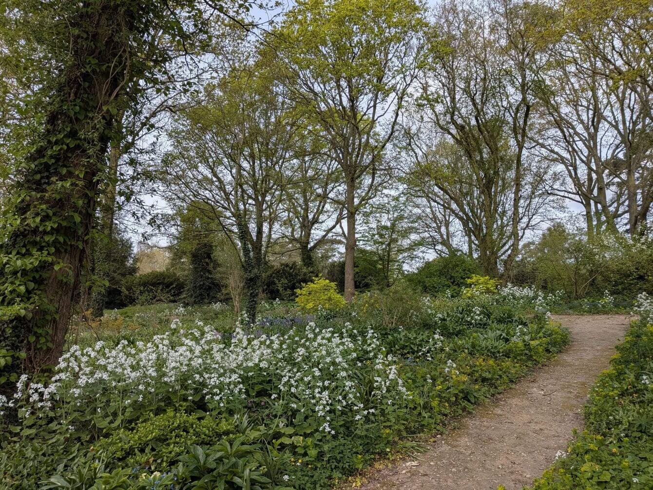 Jardin de Beth Chatto, Angleterre