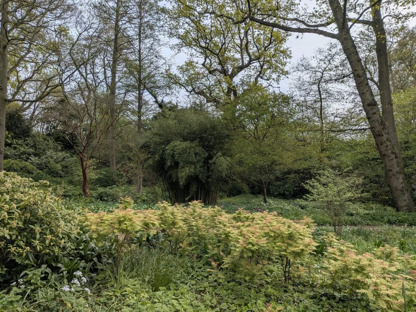 Jardin de Beth Chatto, Angleterre