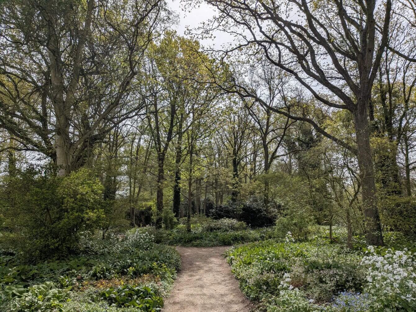 Jardin de Beth Chatto, Angleterre