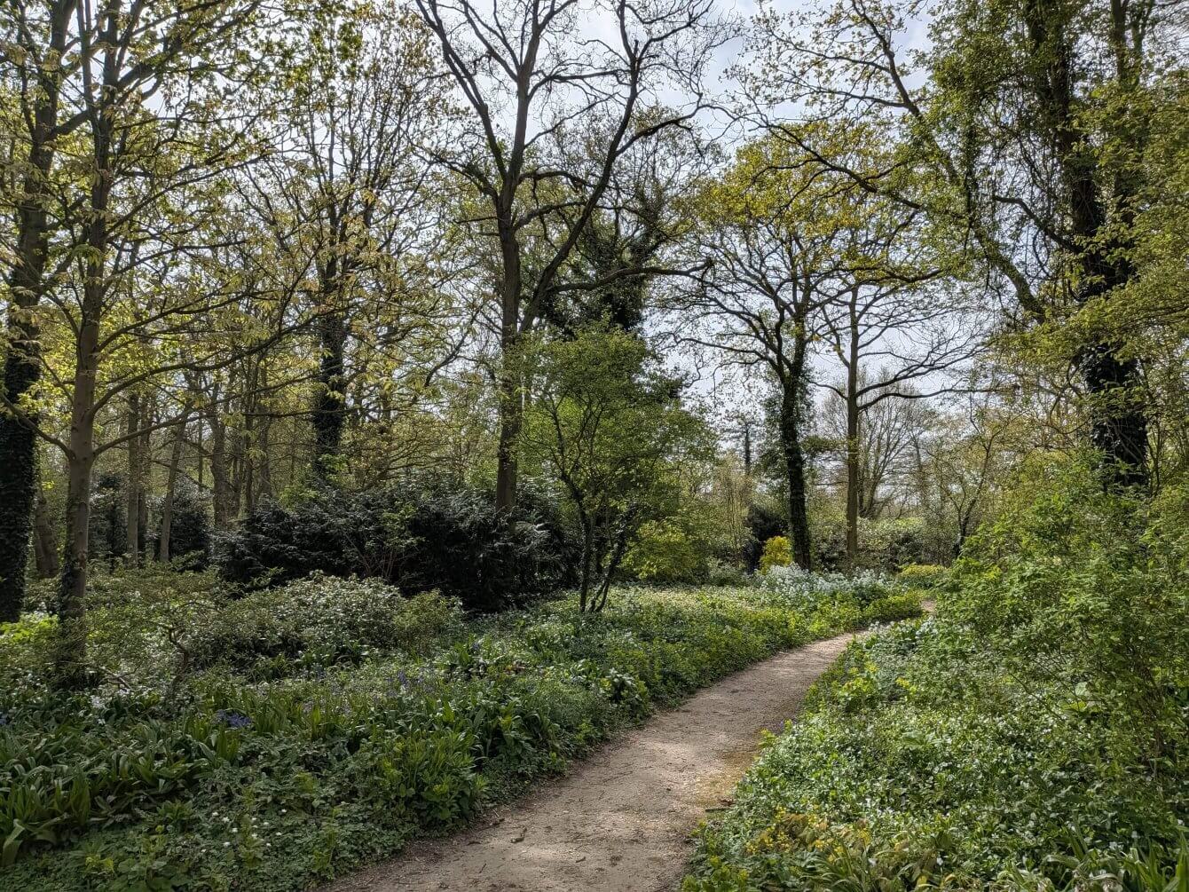 Jardin de Beth Chatto, Angleterre