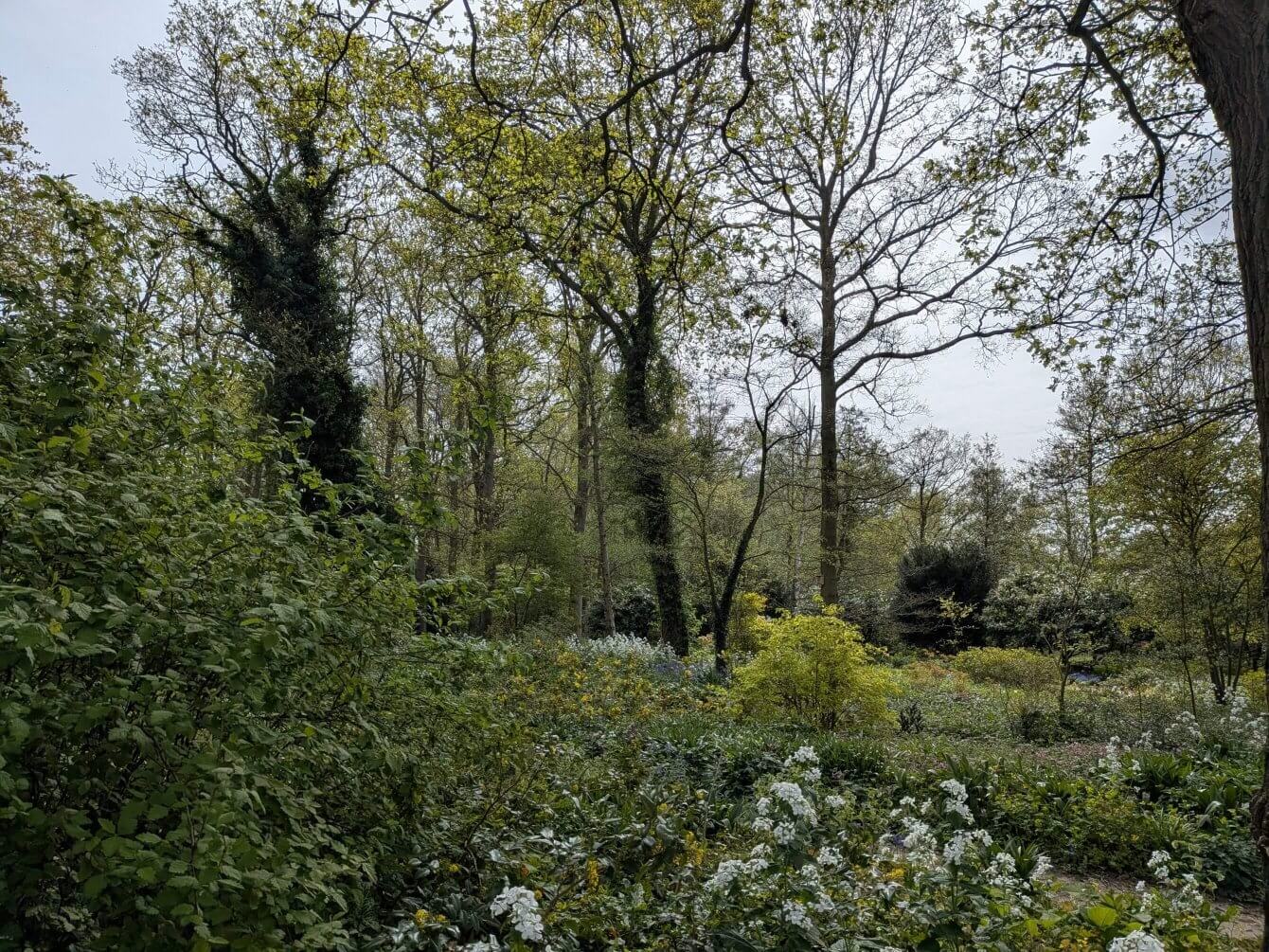 Jardin de Beth Chatto, Angleterre