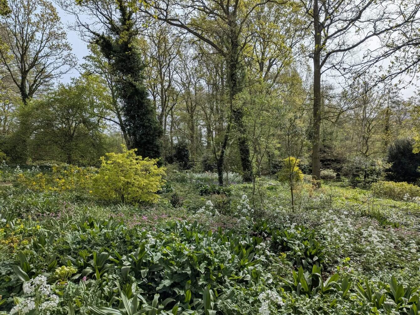 Jardin de Beth Chatto, Angleterre