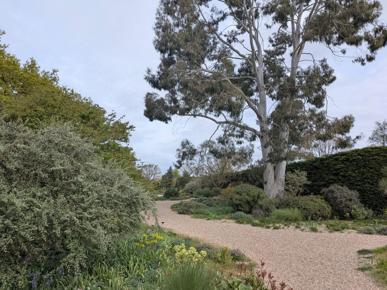 Jardin de Beth Chatto, Angleterre