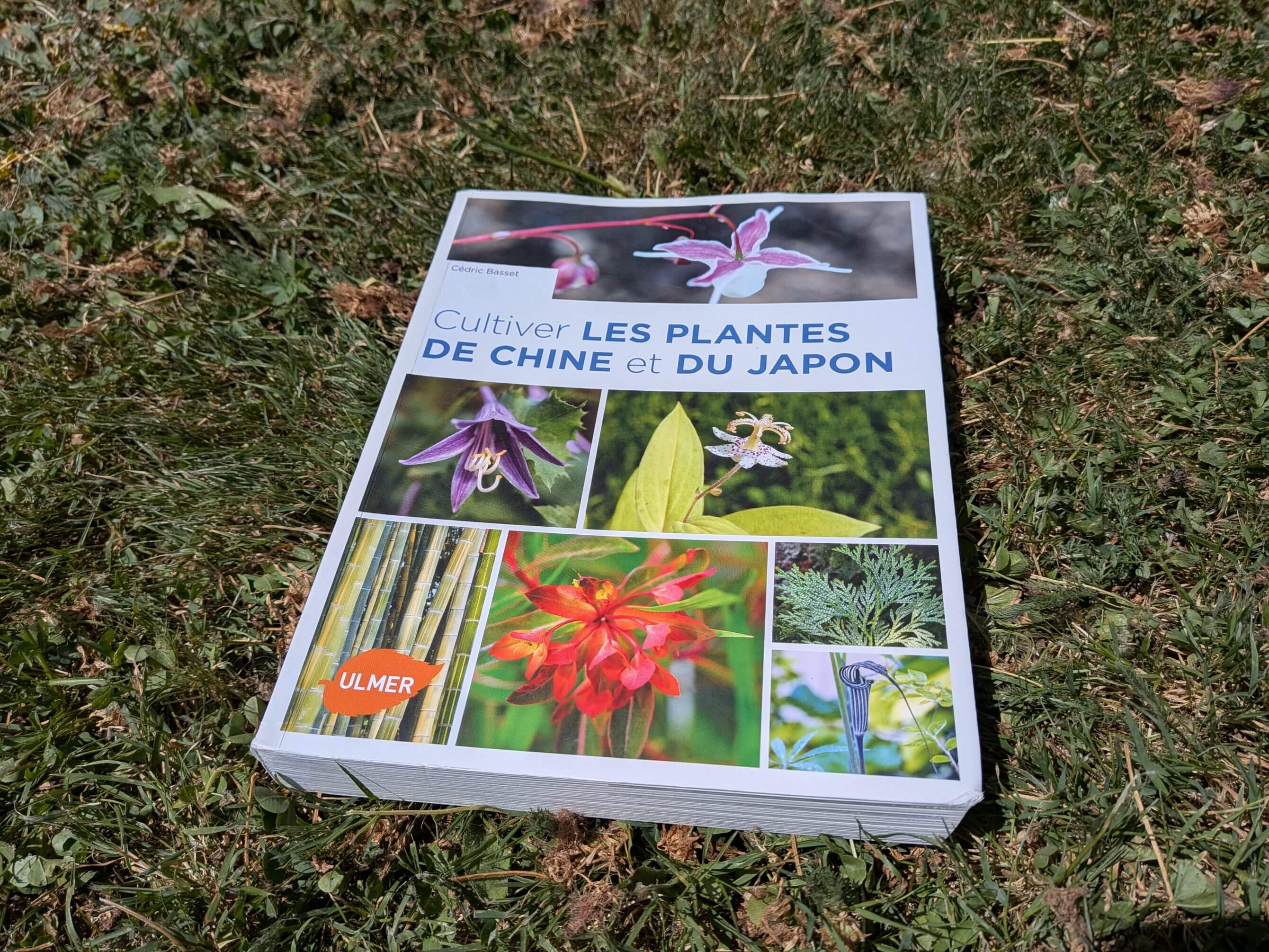 Cultiver les plantes de Chine et du Japon
