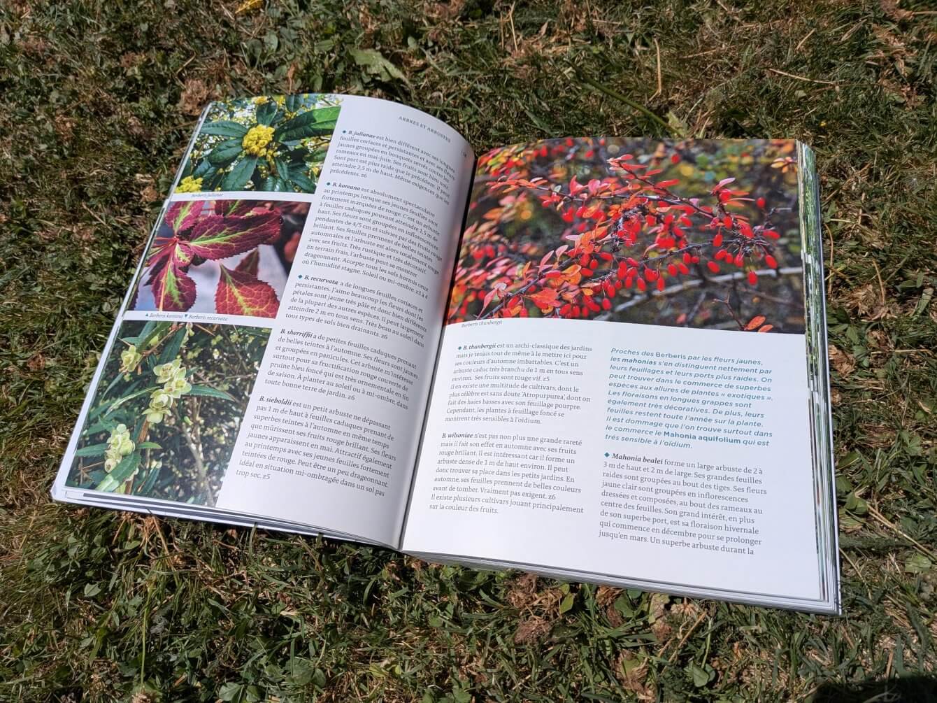 Cultiver les plantes de Chine et du Japon
