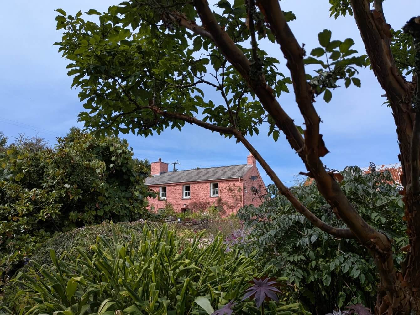 Visite en été du jardin Dyffryn Fernant, Pays de Galles