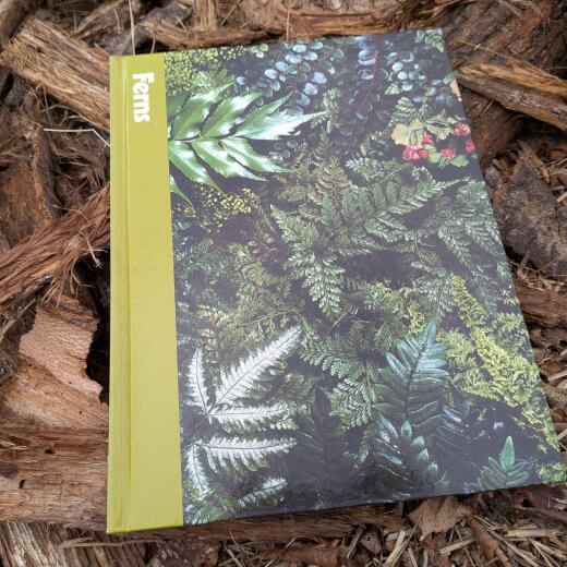 Ferns