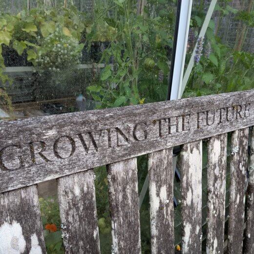 Growing for the future